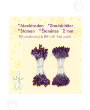 Kuokeliai gėlių gamybai Leane Creatief, violetiniai 2mm, 80 matinių + 80 perlamutrinių