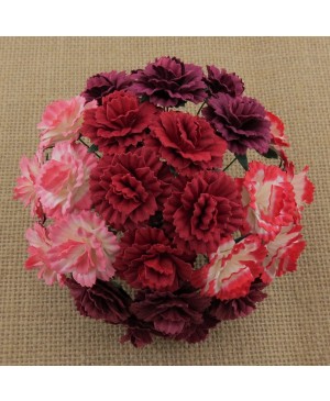 Popierinės gėlytės Promlee Flowers - Mixed Red Carnations SAA-118, 25mm, 10vnt