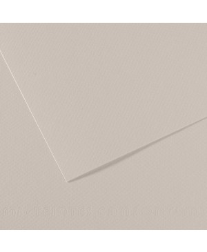 Popierius pastelei Canson Mi-Teintes, A4, 160 g/m², Pearl Grey 120
