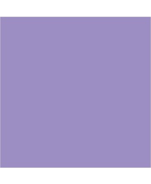 Akrilo dažai Pentart, matiniai, 50ml, light purple