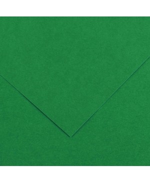 Spalvotas popierius Canson Vivaldi, 50x65cm, 240 g/m², Moss Green 30