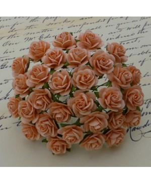 Popierinės gėlytės Promlee Flowers - Peach Open Roses SAA-017-15, 15mm, 10vnt.