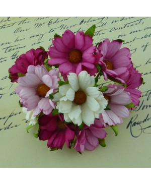 Popierinės gėlytės Promlee Flowers - Mixed Pink / White Chrysanthemums SAA-267 , 45mm, 10vnt.