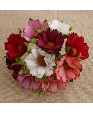 Popierinės gėlytės Promlee Flowers - Mixed Red / Pink / White Chrysanthemums SAA-325 , 45mm, 10vnt.
