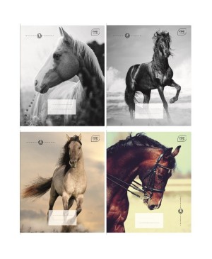 Sąsiuvinis Interdruk Horses, langeliais, A5, 12 lapų