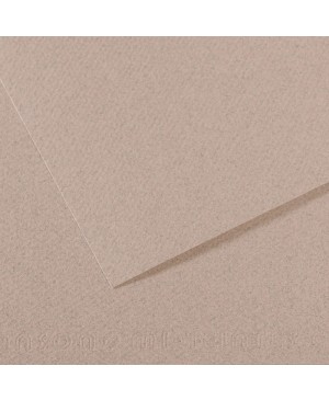 Popierius pastelei Canson Mi-Teintes, 50x65cm, 160 g/m², Moonstone 426