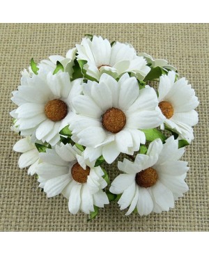 Popierinės gėlytės Promlee Flowers - White Chrysanthemums SAA-467, 45mm, 10vnt.