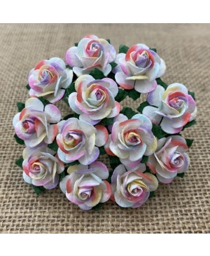 Popierinės gėlytės Promlee Flowers - 2 Tone Pastel Rainbow Open Roses SAA-532-15, 15mm, 10vnt.