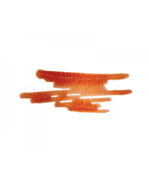 Lakas skeldėjantis ScrapEgo SELK003 Oranžinė "Flamingo", 30ml