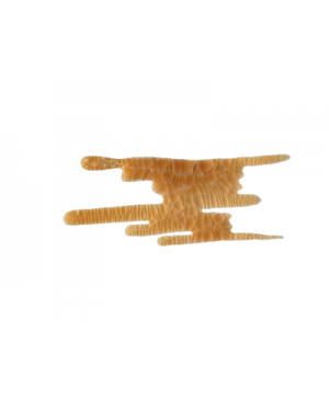 Lakas skeldėjantis ScrapEgo SELK016 Šviesi Ruda "Sepia", 30ml 
