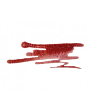 Lakas skeldėjantis ScrapEgo SELK017 Raudonai Ruda "Terra Incognita", 30ml