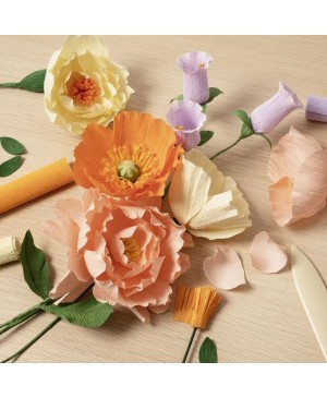 Kūrybinis rinkinys CCH - popieriaus gėlėms Starter Craft Kit Crepe Paper 
