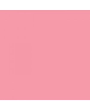 Sublimacinė plėvelė Cricut Infusible Ink Transfer Sheets Patterns Rose Pink, 30.5 cm x 30.5 cm, 2vnt.