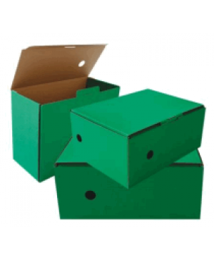 Archyvinė dėžė kartoninė 15×35x25cm, žalia