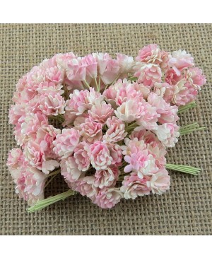 Popierinės gėlytės Promlee Flowers - 2-tone Baby Pink / Ivory Gypsophila SAA-406, 10mm, 20vnt.