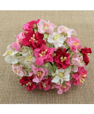 Popierinės gėlytės Promlee Flowers - Mixed Pink Miniature Gardenia SAA-419-25, 25mm, 10vnt.