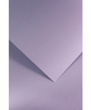 Popierius Smooth, A4, 210 g/m², alyvinės sp. 1vnt.