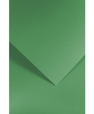 Popierius Smooth, A4, 210 g/m², žalios sp. 1vnt.