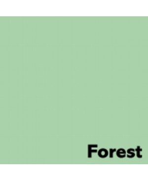 Spalvotas popierius Image Coloraction FSC Mix Credit, Forest/Pastel Green A4, 160 g/m² , 250 l., žalios sp. 