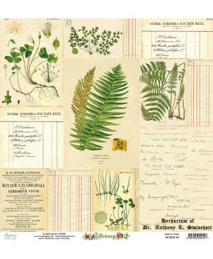 Skrebinimo popierius Mintay - Botany - 04, 30.5x30.5cm, 240g/m², 1vnt