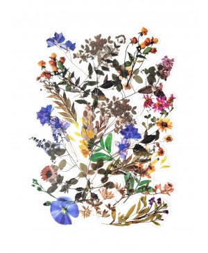 Lipdukai, permatomi - Field Flowers, 40vnt