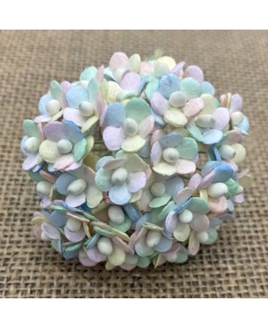 Popierinės gėlytės Promlee Flowers - Miniature Pastel Rainbow Sweetheart Blossoms SAA-533, 10mm, 20vnt.
