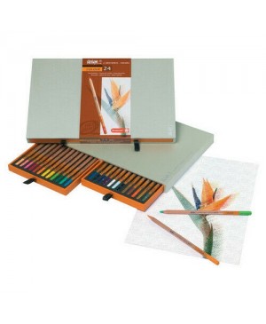 Spalvoti pieštukai Bruynzeel Design, 24 spalvų, dėžutėje