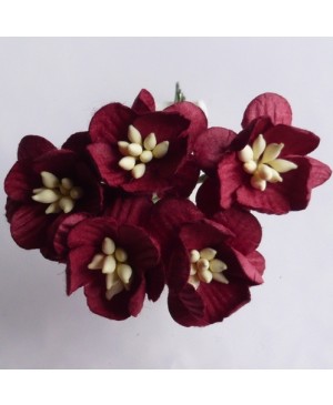 Popierinės gėlytės Promlee Flowers - Burgundy Cherry Blossoms SAA-049, 25mm, 10vnt.