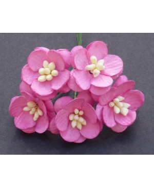 Popierinės gėlytės Promlee Flowers - Pink Cherry Blossoms SAA-051, 25mm, 10vnt.