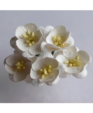 Popierinės gėlytės Promlee Flowers - Ivory Cherry Blossoms SAA-057, 25mm, 10vnt.