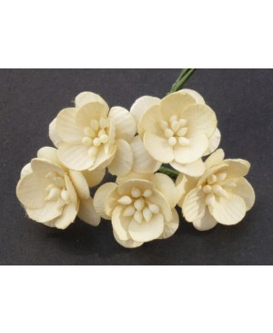 Popierinės gėlytės Promlee Flowers - Cream Cherry Blossoms SAA-059, 25mm, 10vnt.