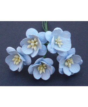 Popierinės gėlytės Promlee Flowers - Baby Blue Cherry Blossoms SAA-062, 25mm, 10vnt.