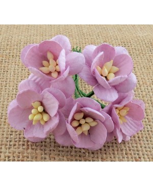 Popierinės gėlytės Promlee Flowers - Lilac Cherry Blossoms SAA-065, 25mm, 10vnt.