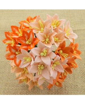 Popierinės gėlytės Promlee Flowers - Mixed Peach-Orange Lily SAA-138, 25mm, 10vnt.