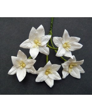 Popierinės gėlytės Promlee Flowers - White Lily SAA-139, 25mm, 10vnt.