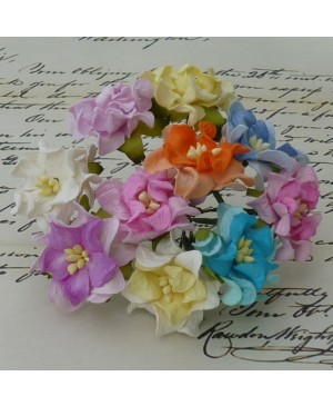Popierinės gėlytės Promlee Flowers - Mixed Colour Small Gardenia SAA-141, 25-30mm, 10vnt.