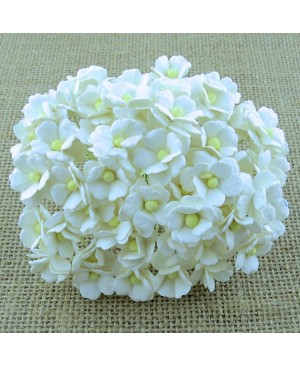 Popierinės gėlytės Promlee Flowers - White Sweetheart Blossom SAA-198, 15mm, 10vnt.
