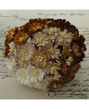 Popierinės gėlytės Promlee Flowers - Mixed Brown-White Cosmos Daisy SAA-239, 25mm, 10vnt.
