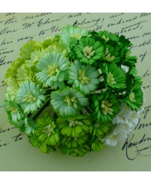 Popierinės gėlytės Promlee Flowers - Mixed Green-White Cosmos Daisy SAA-252 , 25mm, 10vnt.