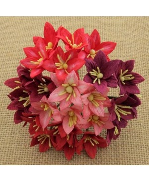 Popierinės gėlytės Promlee Flowers - Mixed Red Lily SAA-330, 25mm, 10vnt.