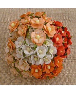 Popierinės gėlytės Promlee Flowers - Mixed Peach-Orange Sweetheart Blossom SAA-334, 15mm, 10vnt.