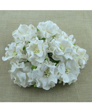 Popierinės gėlytės Promlee Flowers - White Gardenia SAA-338-35, 35mm, 5vnt.