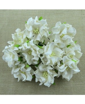 Popierinės gėlytės Promlee Flowers - Ivory Gardenia SAA-340-35, 35mm, 5vnt.
