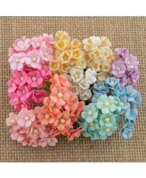 Popierinės gėlytės Promlee Flowers - Mixed Pastel Miniature Sweetheart Blossom SAA-441, 10mm, 20vnt.