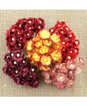 Popierinės gėlytės Promlee Flowers - Miniature Mixed Red Sweetheart Blossoms SAA-453, 10mm, 20vnt.