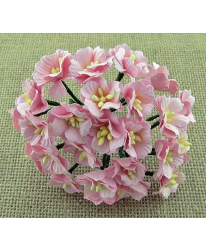 Popierinės gėlytės Promlee Flowers - Light Pink Apple Blossoms SAA-465, 20- 25mm, 10vnt.