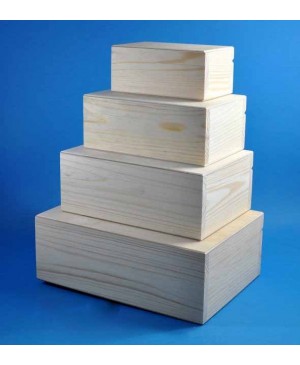Dėžutė medinė, 24.5x17.5x9cm