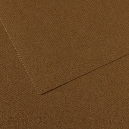 Popierius pastelei Canson Mi-Teintes, 50x65cm, 160 g/m², Tobacco 501