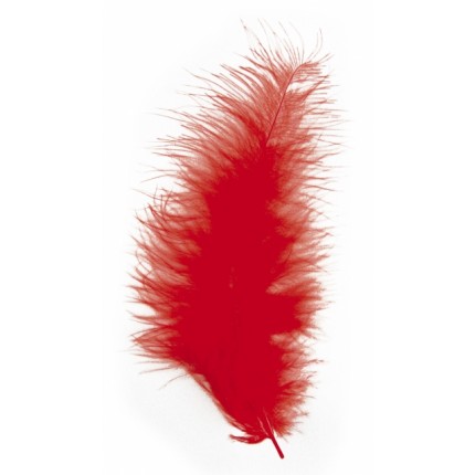 Plunksnos dekoratyvios, ypač purios 10-15cm, raudona 15vnt