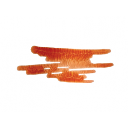 Lakas skeldėjantis ScrapEgo SELK003 Oranžinė "Flamingo", 30ml
